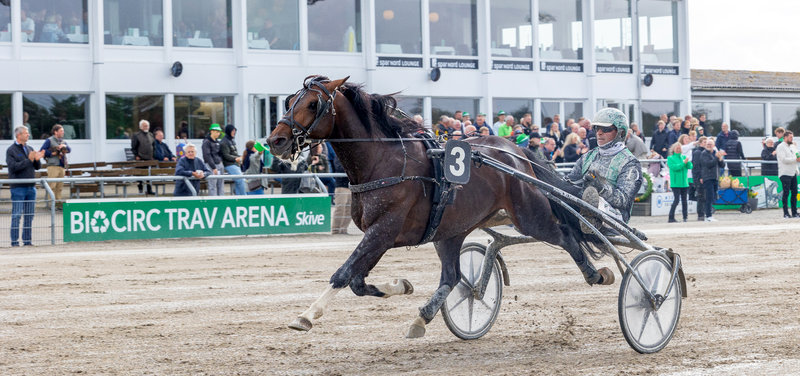 Pointberegning - Grand Circle 4-års Championat & Hoppechampionat