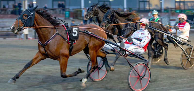 Lust For Life ved en sejr på Lunden i 2024.