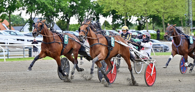 Tipsanalyser Bet25 - alle løb - Skive søndag 19. oktober Grand Circle-championater