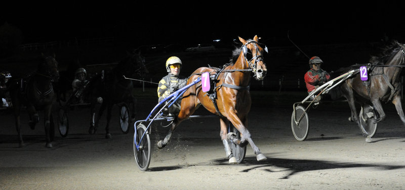 Tipsanalyser Bet25 - alle løb - Lunden onsdag 22. oktober