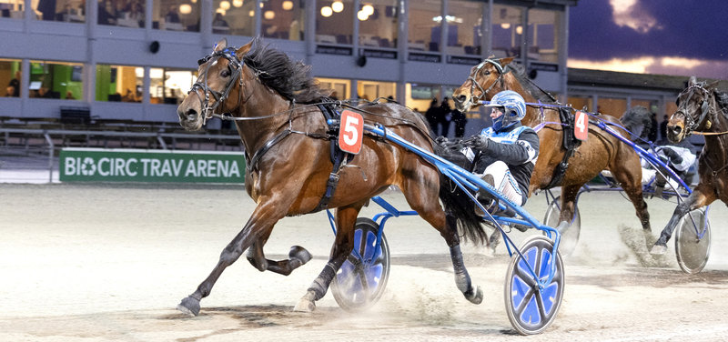 STARTLISTER - V65 i Skive på onsdag med masser af heste