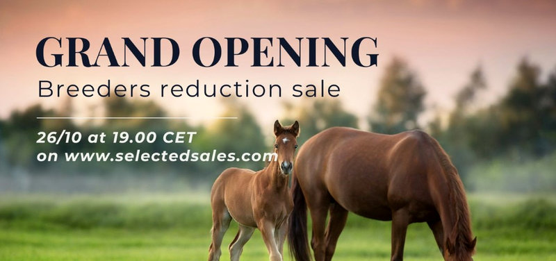 Selected Sales - der er nu åbnet for budgivning!