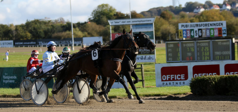 Tipsanalyser Bet25 - alle løb - Aalborg søndag 26. oktober