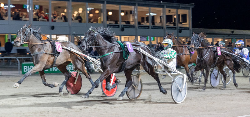 Nova ved en tidligere sejr med Flemming Jensen i sulkyen. Onsdag venter en drabelig dyst om sejren med blandt andre Karla Di Damgård.