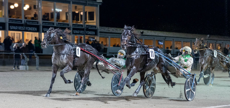 Skive onsdag - ingen ramte V65 - kort nyt fra løbsdagen