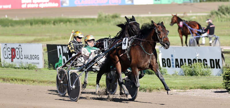 Tipsanalyser Bet25 - alle løb - Odense fredag 31. oktober