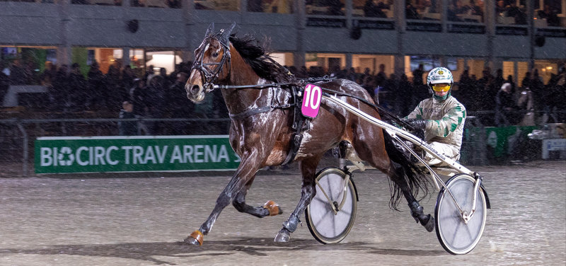 Dansk Hestevæddeløb - Propositionerne for december er klar