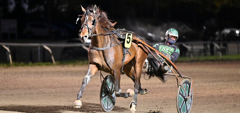 Livin´´ On The Edge ved sejren senest i Odense med Nicklas Korfitsen i sulkyen.