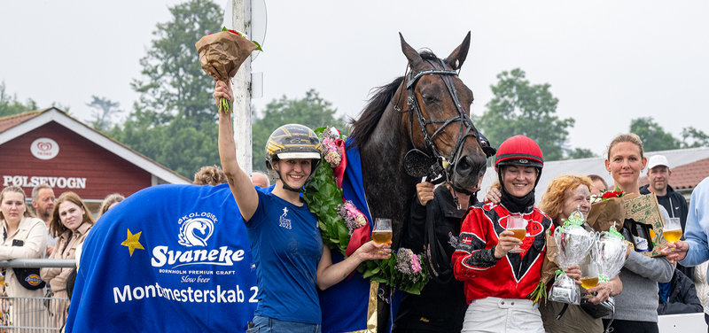 Tipsanalyser Bet25 - alle løb - Bornholm søndag 1. november