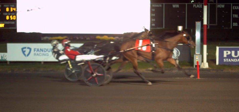 USA - Storløbssejr til Panamera Racings Busy Miss Lissy