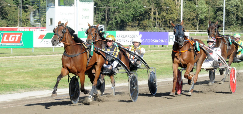 STARTLISTER - Aarhus klar med startlister til "Saturday Night Racing"