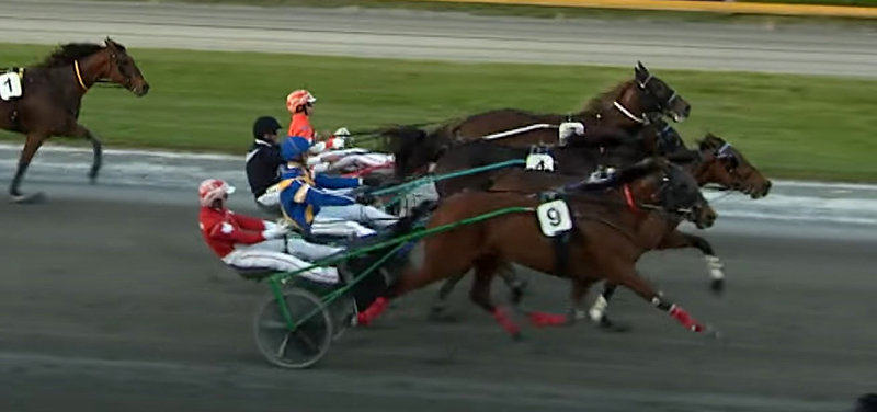 VM for Travkuske i New Zealand - Djuse med dobbeltsejr rykker opad