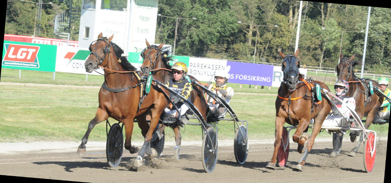 Tipsanalyser Bet25 - alle løb - Aarhus lørdag 8. november