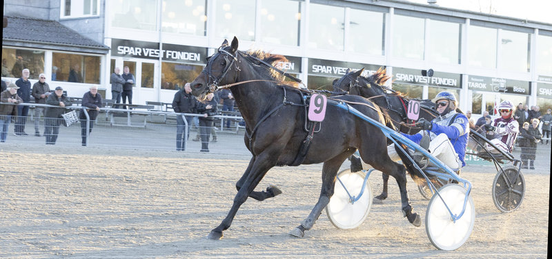Justgivemeareason og Peter Ømark Andersen ved en sejr på hjemmebanen i Skive.