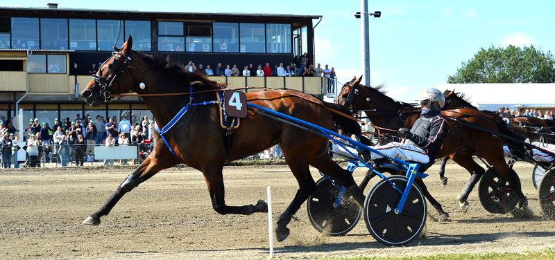 Tipsanalyser Bet25 - alle løb - Nykøbing Falster søndag 16. november