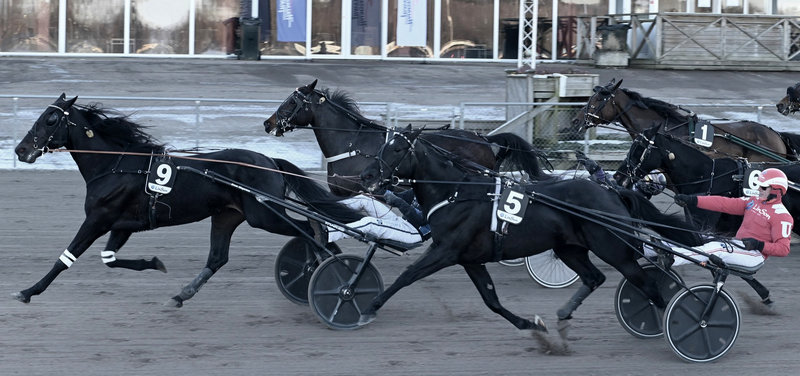 Masser af danske sejre i Sverige og Frankrig de seneste dage