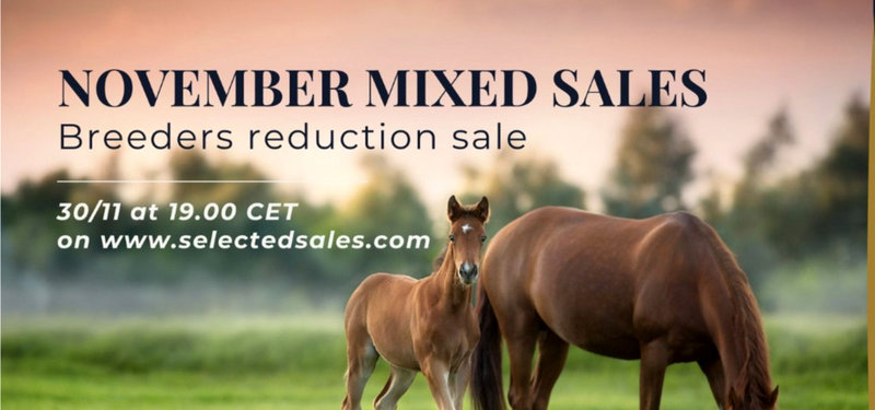 Selected Sales - Ny auktion i denne uge - November Mixed Sales