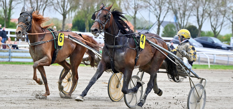 Kung Fu Dot Com ved en tidligere sejr i Odense.