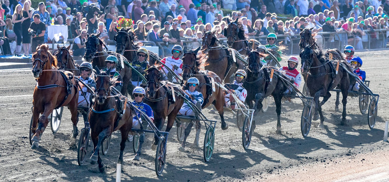 Pressemeddelelse fra Det Danske Travselskab (DTS) vedr. Vision Øresund