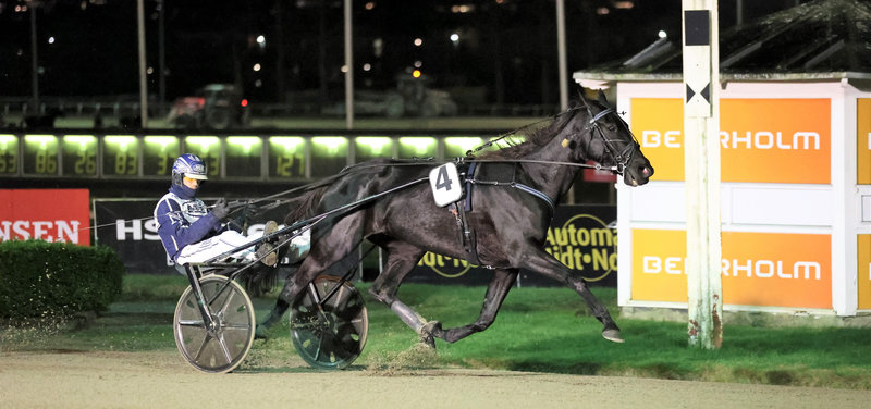 Hyacinth ved seneste sejr i Aalborg med Casper M. Nielsen i sulkyen.