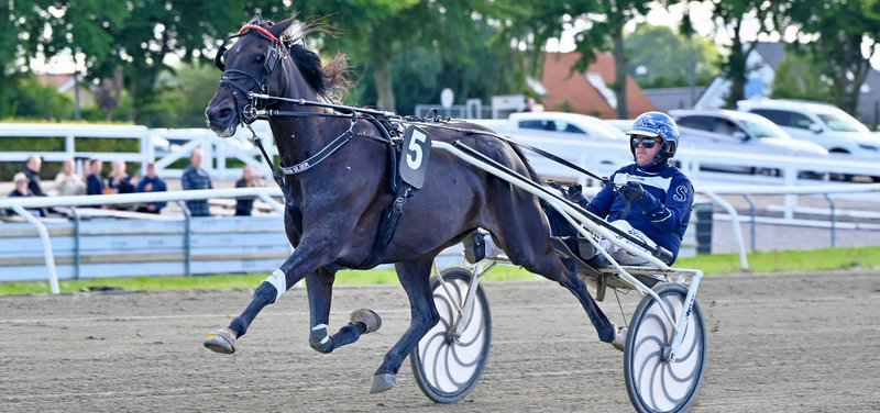 Tipsanalyser Bet25 - alle løb - Skive mandag 8. december
