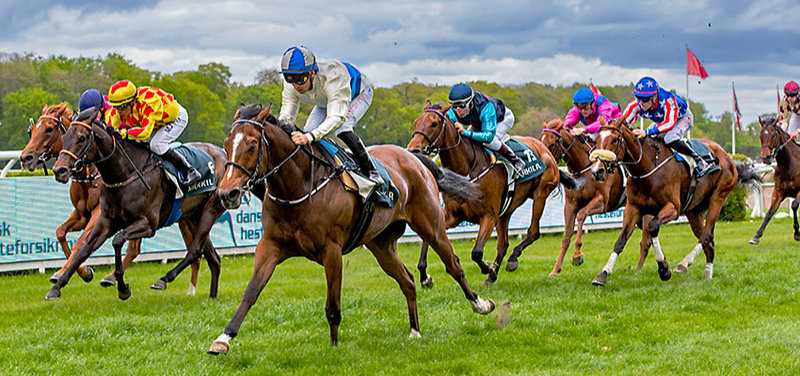 DH informerer - Galopsportens administration samles i Dansk Hestevæddeløb