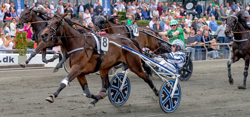 Tipsanalyser Bet25 - alle løb - Skive mandag 15. december