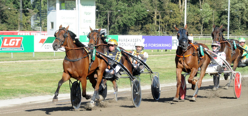 STARTLISTER - Aarhus fredag med mange heste i V5