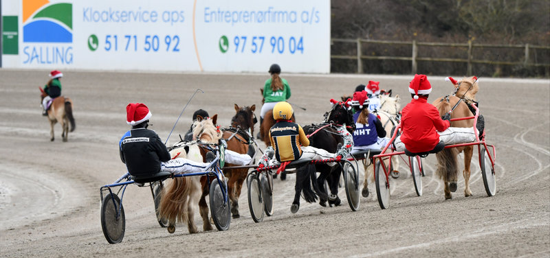 DH UNGDOM - gik du glip af Dansk Hestevæddeløbs udsendelse mandag aften?