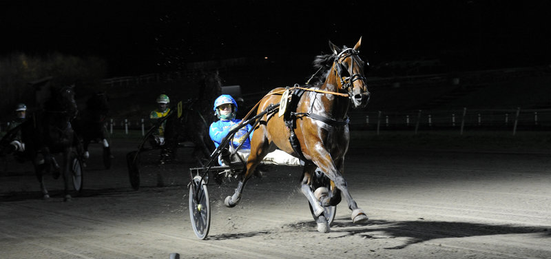 Tipsanalyser Bet25 - alle løb - Aarhus fredag 19. december