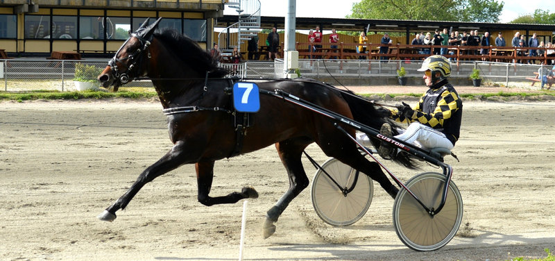 USA NEWS - Kazio købt af Yannick Gingras og går til USA