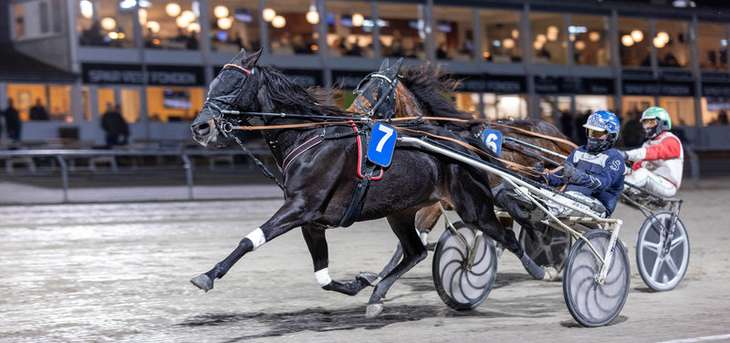 Tipsanalyser Bet25 - alle løb - Odense lørdag 20. december