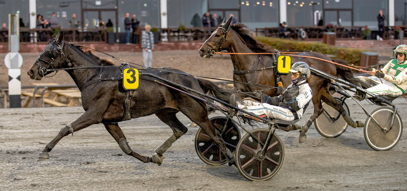 Tipsanalyser Bet25 - alle løb - Lunden søndag 21. december