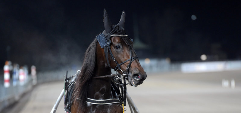 FRANKRIG - Svensk sejr i Prix Ténor de Baune