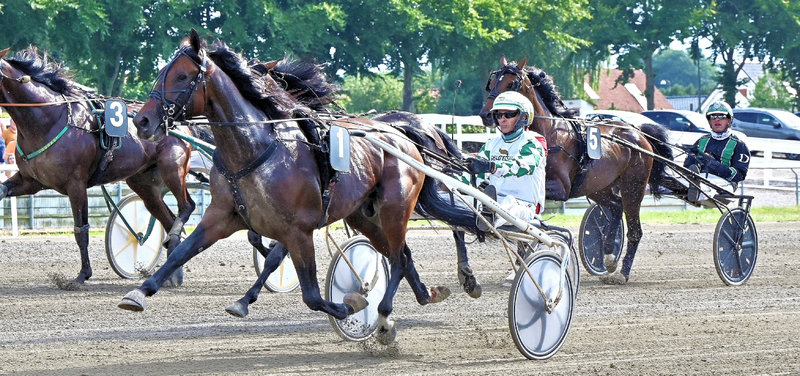 STARTLISTER - Skive V85 mandag - Lunden tirsdag & Aarhus onsdag