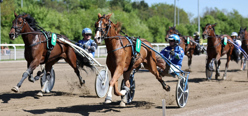 Aalborg-træner Marc Bæk Nielsen over 1 mio. kr. indkørt i denne sæson
