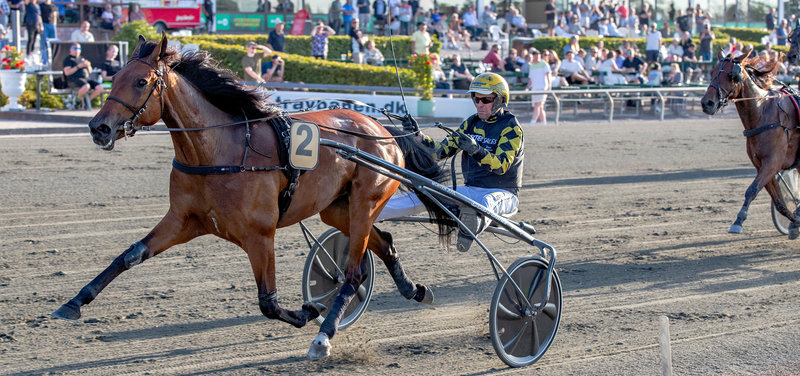 Aarhus-kusken Birger Jørgensen vandt igen-igen flest sejre blandt de professionelle travkuske i Danmark.