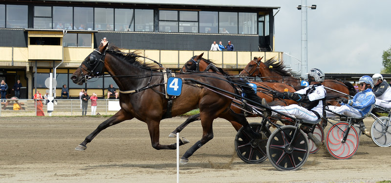 Highway Flamingo blev 