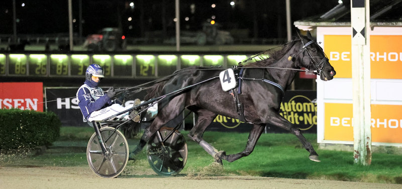 Hyacinth ved en tidligere sejr i Aalborg med Casper M. Nielsen i sulkyen.