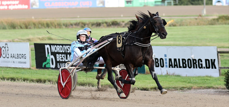 AUKTION - HUSK at Nytårsauktionen på Travauktioner.dk lukker i aften