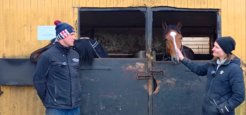 Bag om dansk travsport - Martin Hansen - Unghestetræning