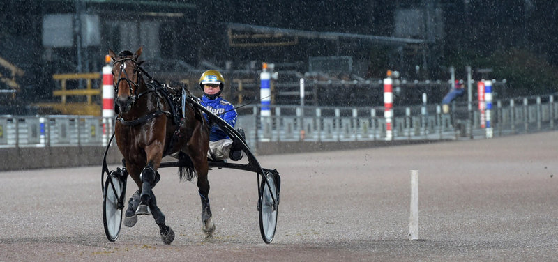 FRANKRIG - Fame And Glory misser Prix d´Amerique