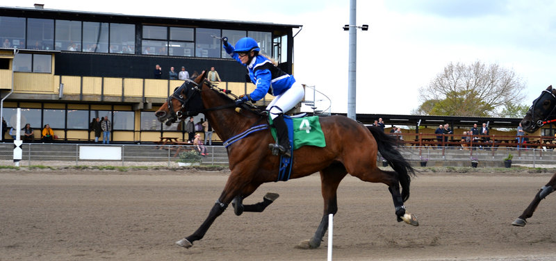 Tipsanalyser Bet25 & baneprogrammet - alle løb - Skive fredag 9. januar