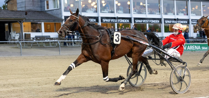 AUKTION - He Dares The Devil solgt for 170.000 s.kr. på Travera-auktionen