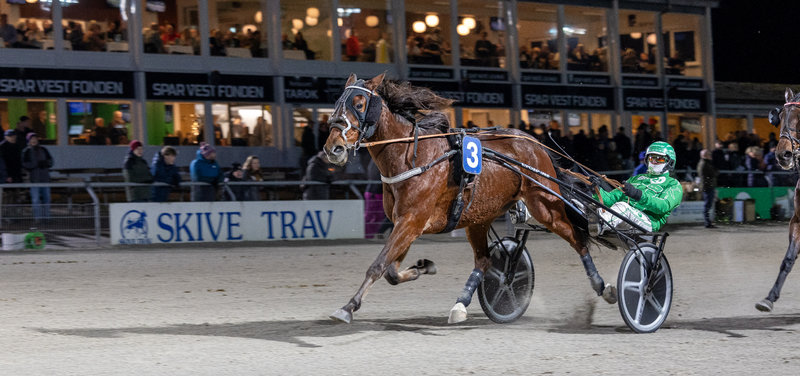 STARTLISTER - Skive søndag og Aarhus tirsdag