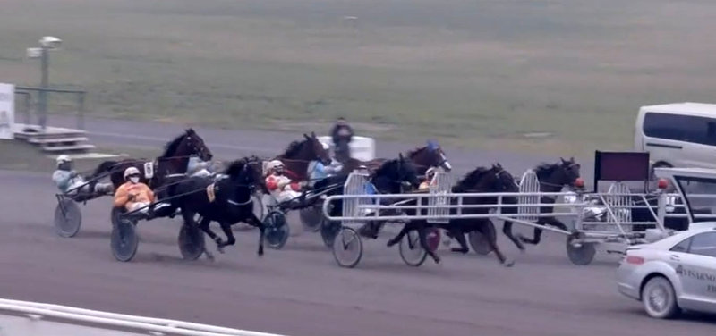 ITALIEN - Startgalop for Stald Masiols stjerne Seven Nation Army