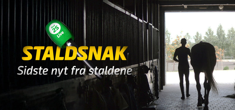 STALDSNAK - Aalborg mandag 19. januar