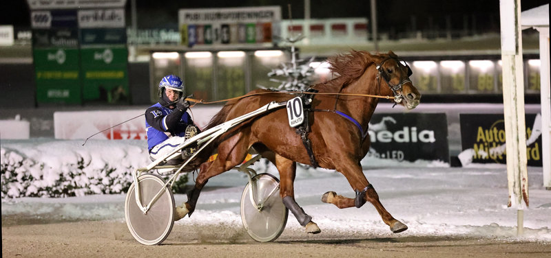 TIPSANALYSER Bet25 & baneprogrammet - alle løb - Aalborg fredag 16. januar