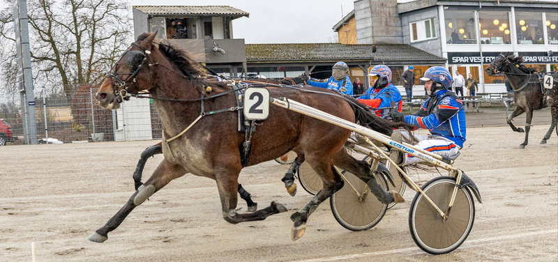 STARTLISTER - Aalborg klar på fredag med en række Amerikanerløb