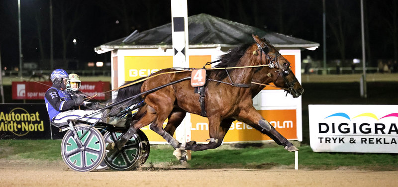 AALBORG - Forrygende start på 2026 for Korfitsen-jockey Mads Henriksen